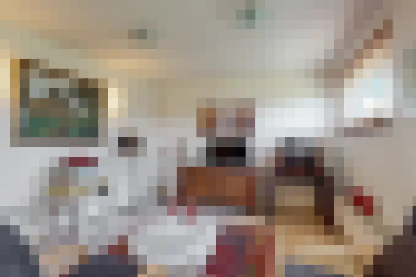 Schadijkerweg 25 Meterik thumbnail 36