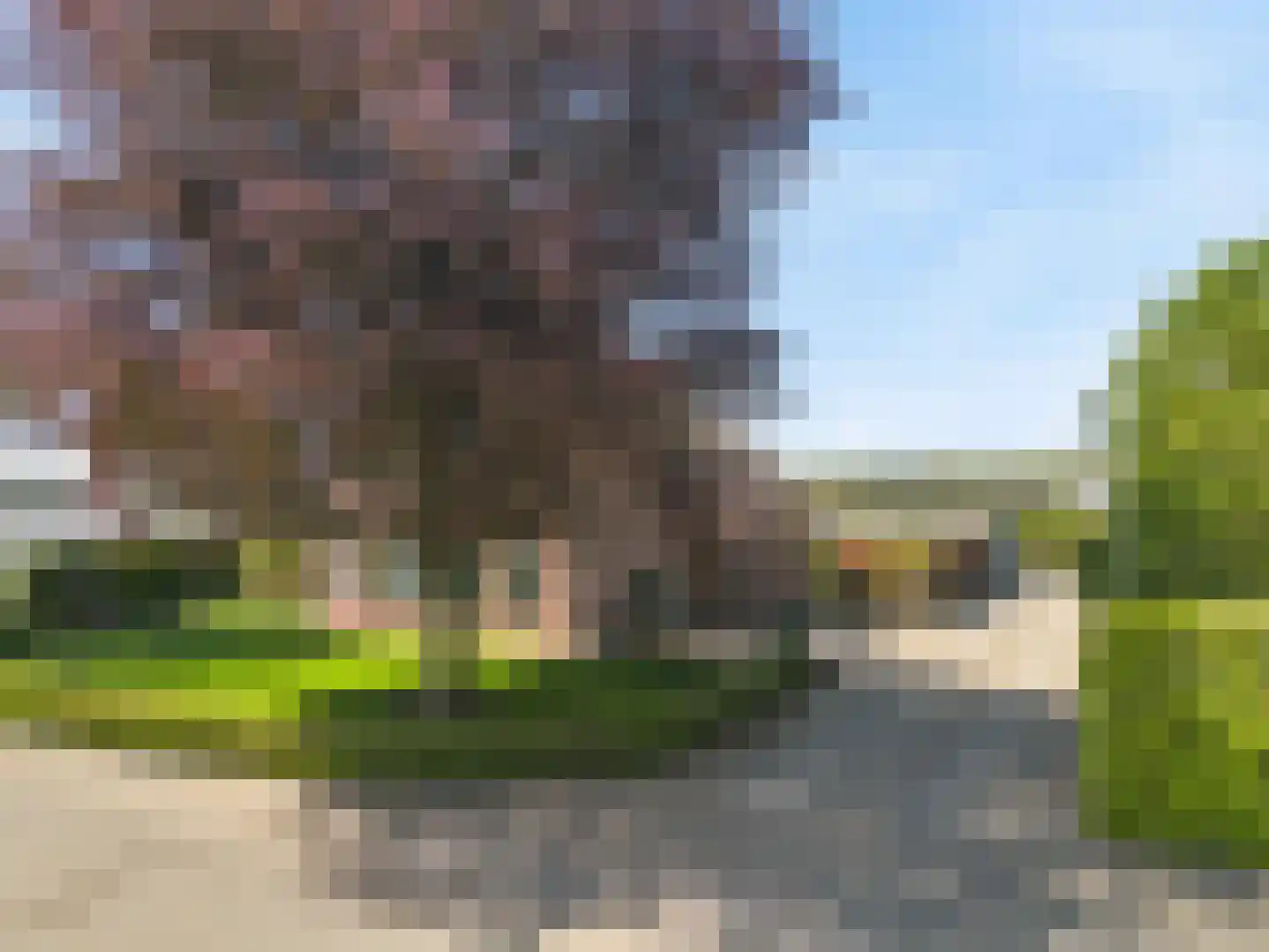 Schadijkerweg 25 Meterik thumbnail 37
