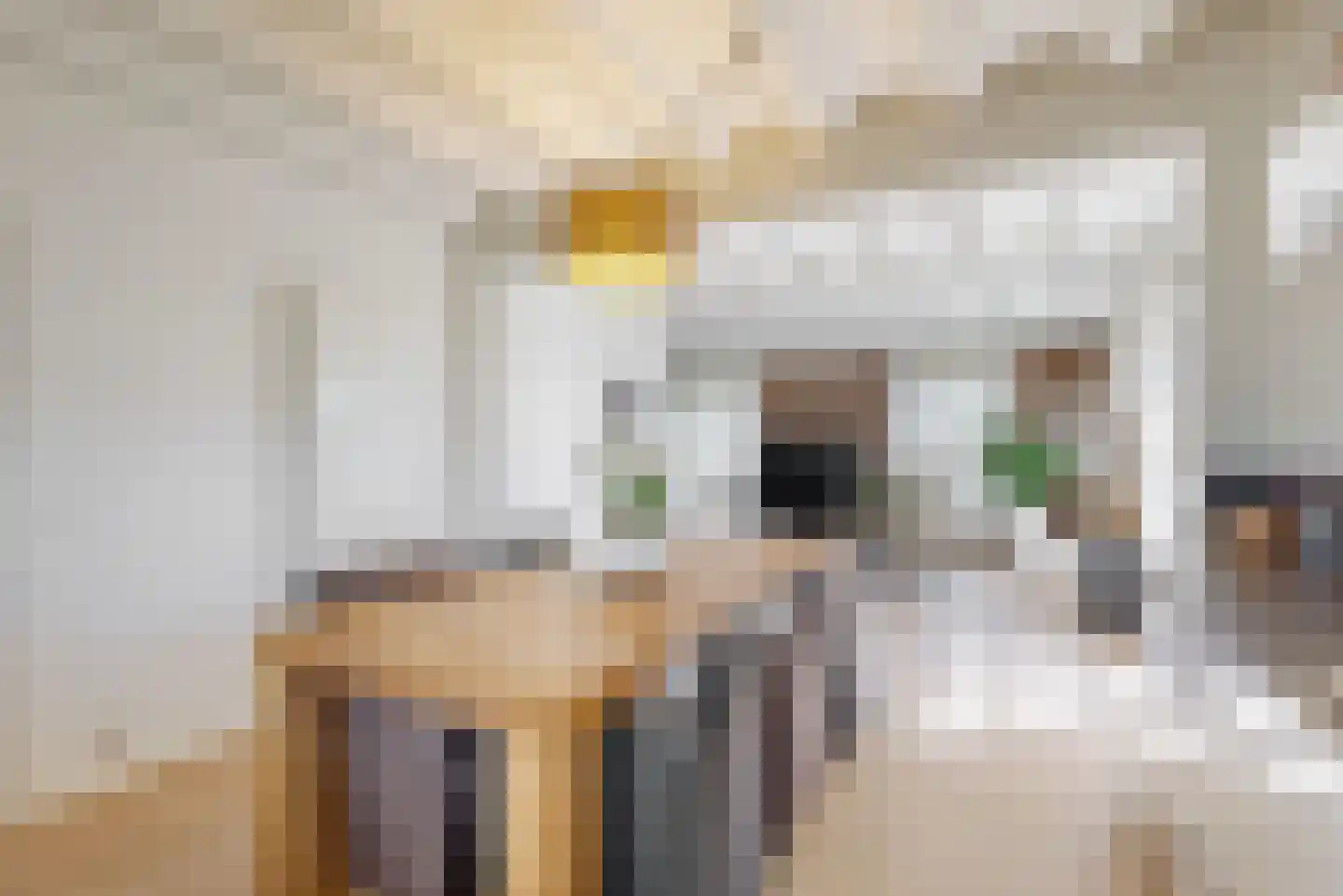 Schadijkerweg 25 Meterik thumbnail 5