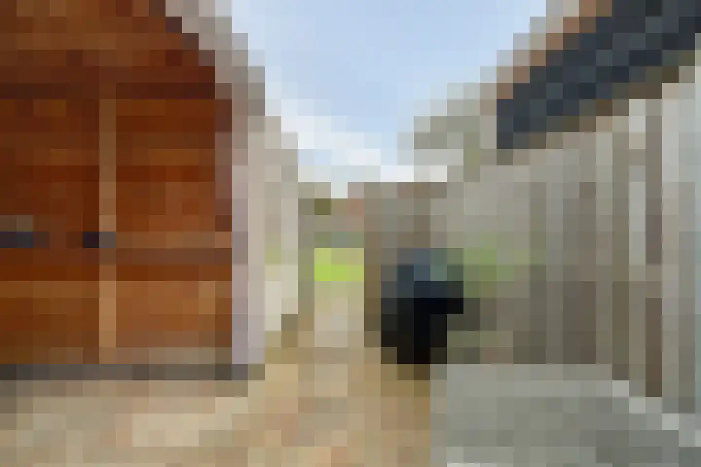 Schaduwgras 129 Spijkenisse thumbnail 13