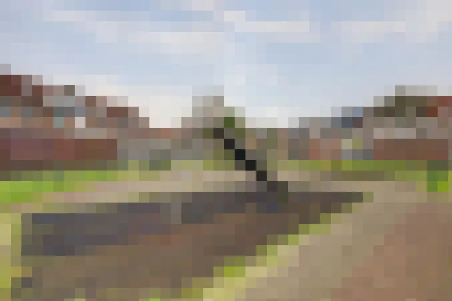 Schaduwgras 129 Spijkenisse thumbnail 33
