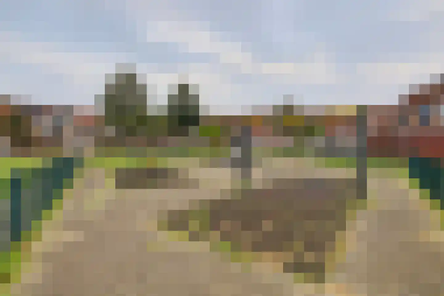 Schaduwgras 129 Spijkenisse thumbnail 34