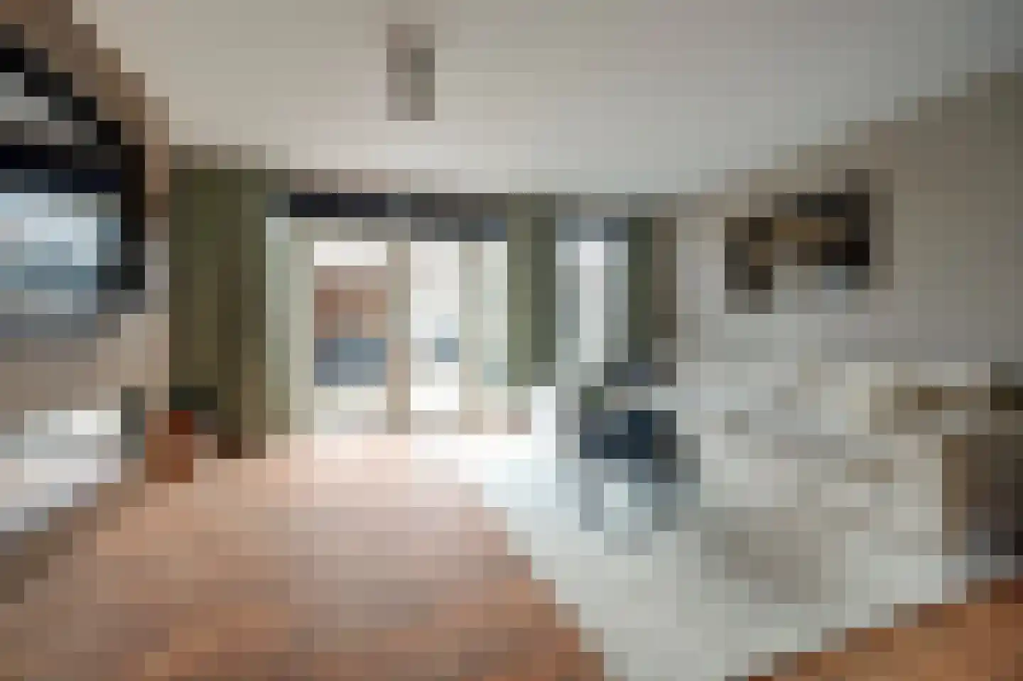Schaduwgras 129 Spijkenisse thumbnail 4