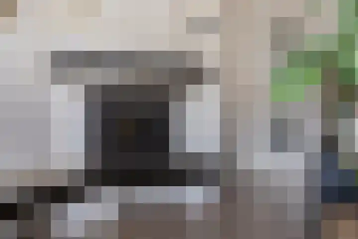 Schaduwgras 6 Spijkenisse thumbnail 10
