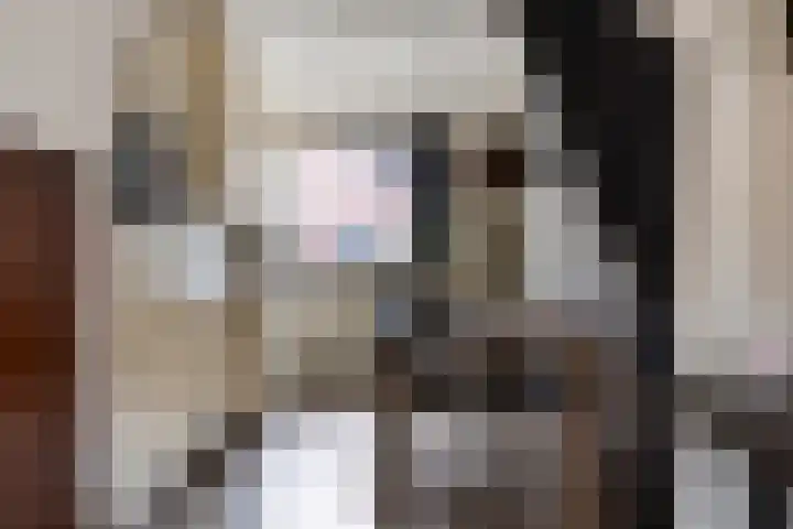 Schaduwgras 6 Spijkenisse thumbnail 11