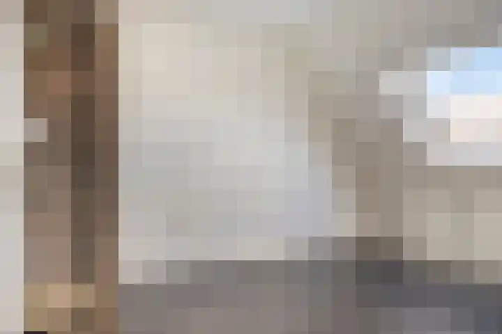 Schaduwgras 6 Spijkenisse thumbnail 17