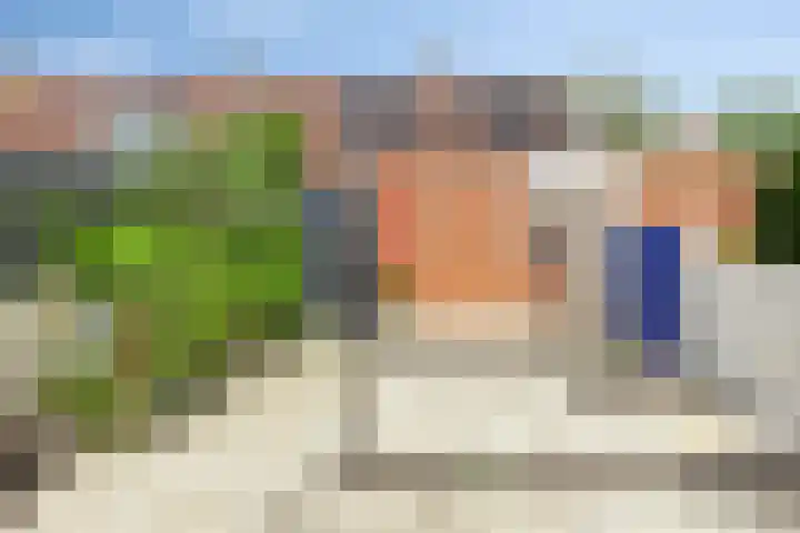 Schaduwgras 6 Spijkenisse thumbnail 26