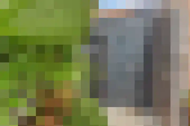 Schaduwgras 6 Spijkenisse thumbnail 27