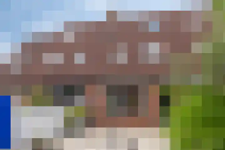 Schaduwgras 6 Spijkenisse thumbnail 29
