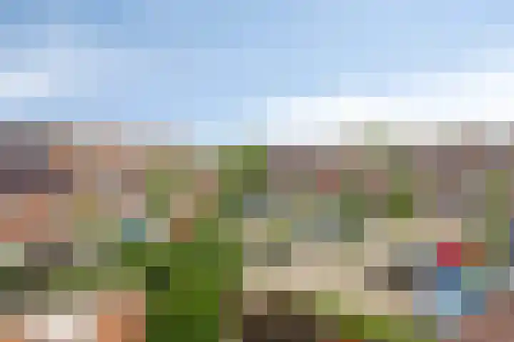 Schaduwgras 6 Spijkenisse thumbnail 30
