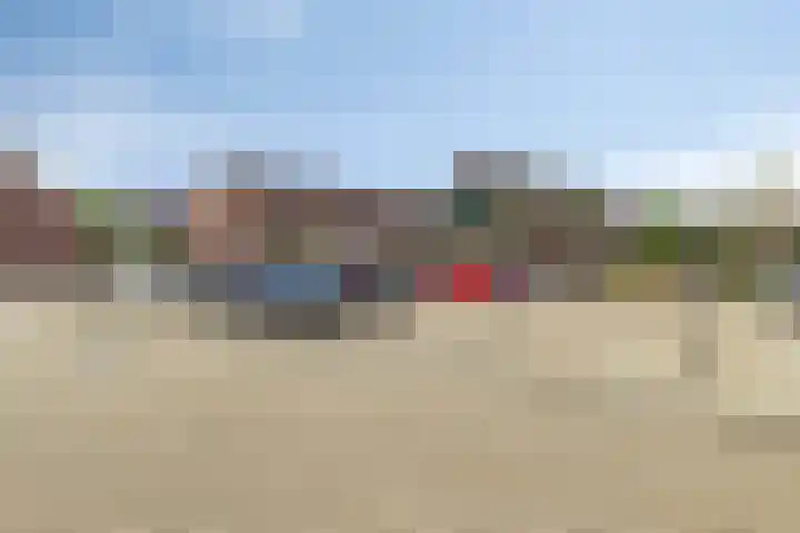 Schaduwgras 6 Spijkenisse thumbnail 31