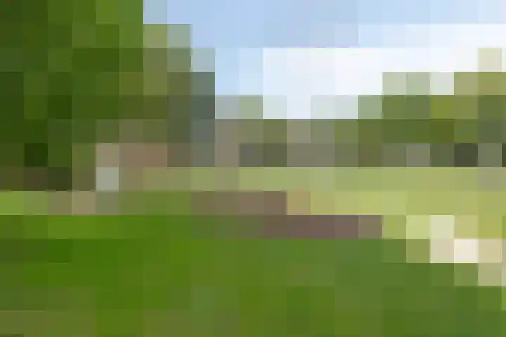 Schaduwgras 6 Spijkenisse thumbnail 32