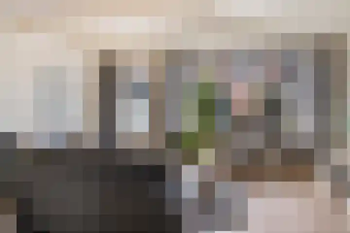 Schaduwgras 6 Spijkenisse thumbnail 6