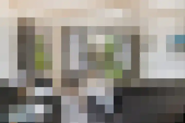 Schaduwgras 6 Spijkenisse thumbnail 7