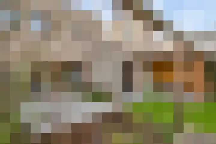 Schaelsbergerbosch 17 Maastricht thumbnail 19