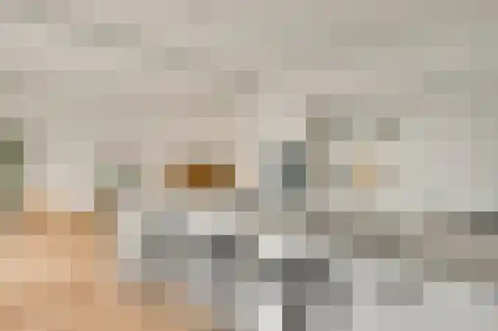 Schaelsbergerbosch 17 Maastricht thumbnail 8