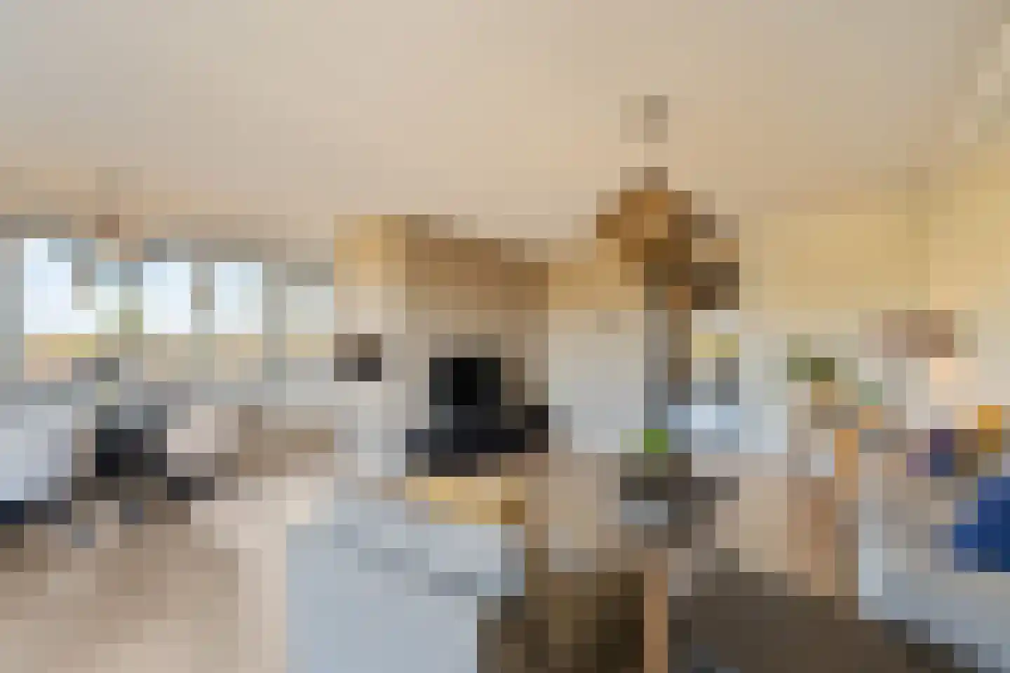 Schaepmanhoeve 17 Waddinxveen thumbnail 12