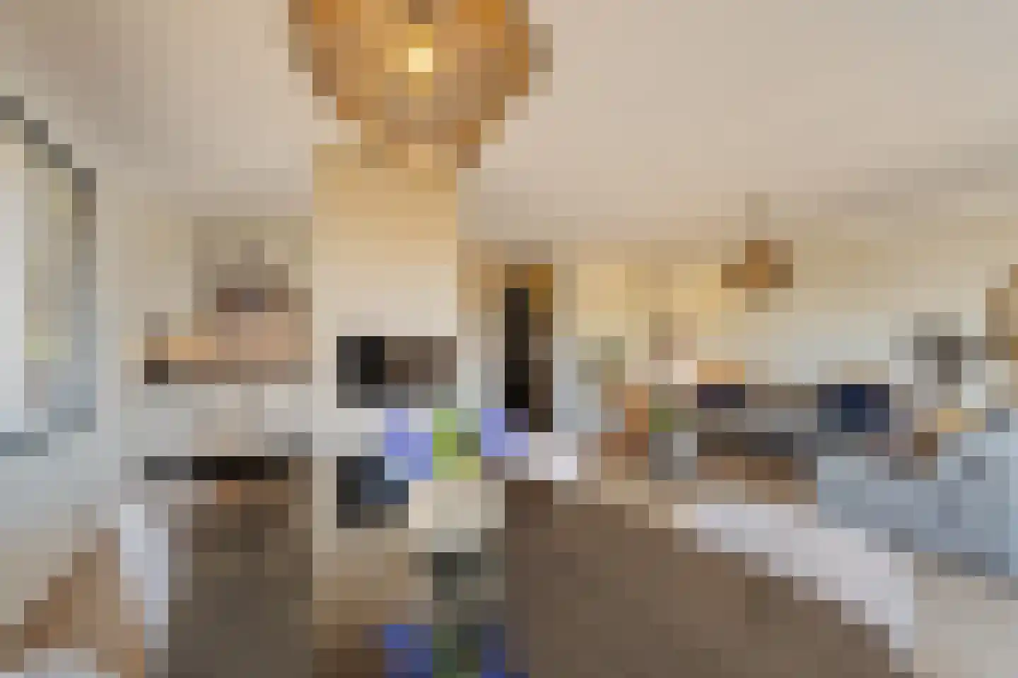 Schaepmanhoeve 17 Waddinxveen thumbnail 15