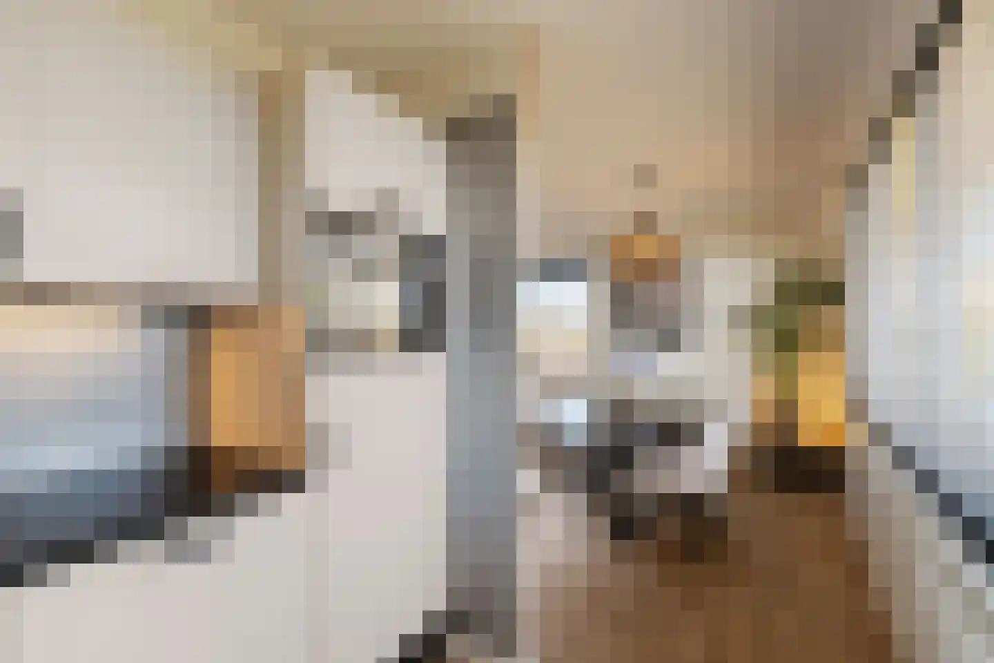 Schaepmanhoeve 17 Waddinxveen thumbnail 17
