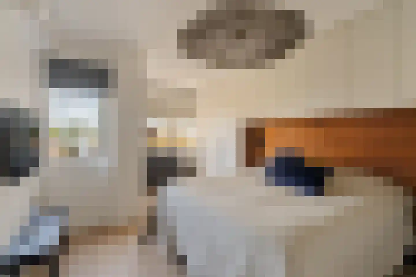 Schaepmanhoeve 17 Waddinxveen thumbnail 21