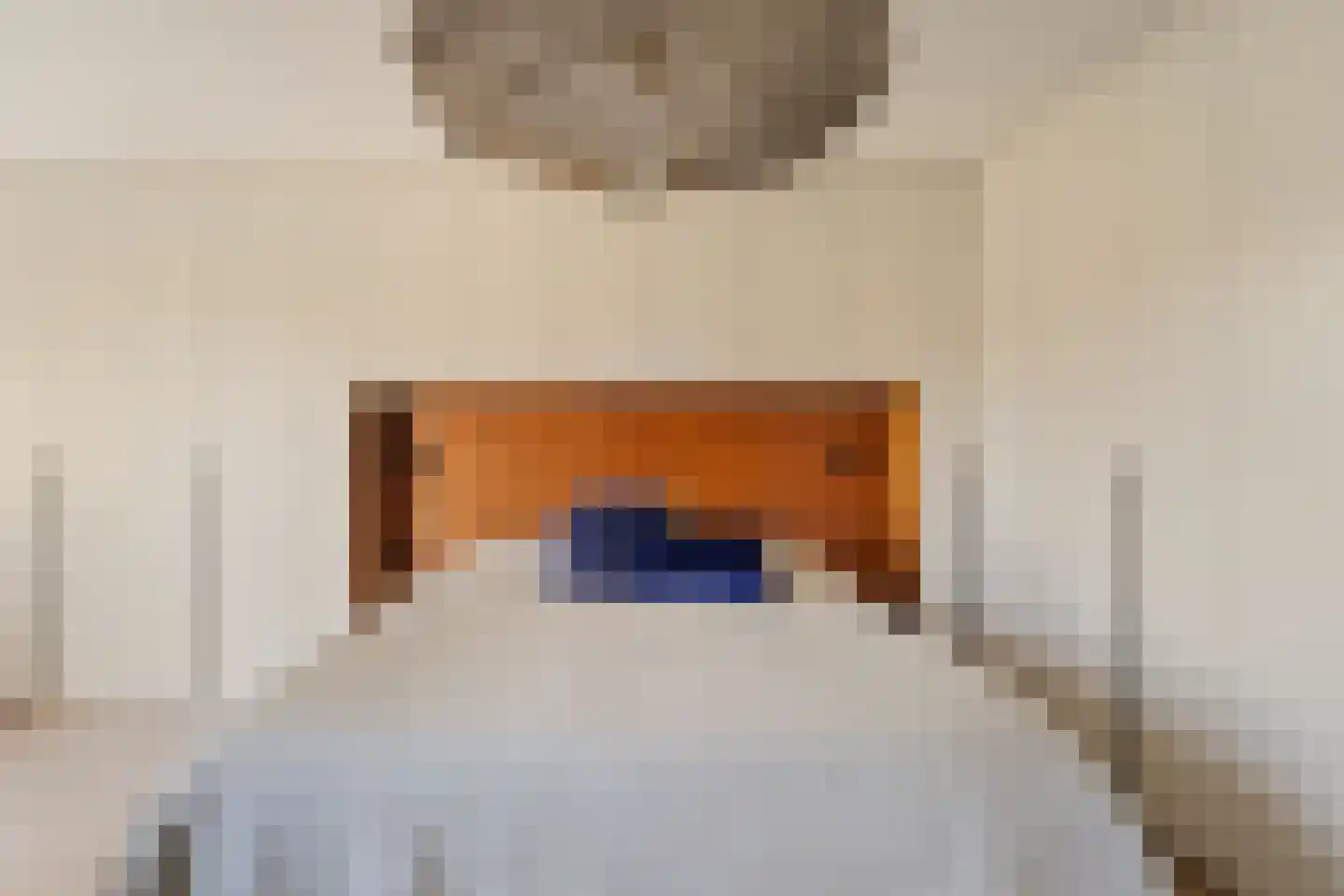 Schaepmanhoeve 17 Waddinxveen thumbnail 22