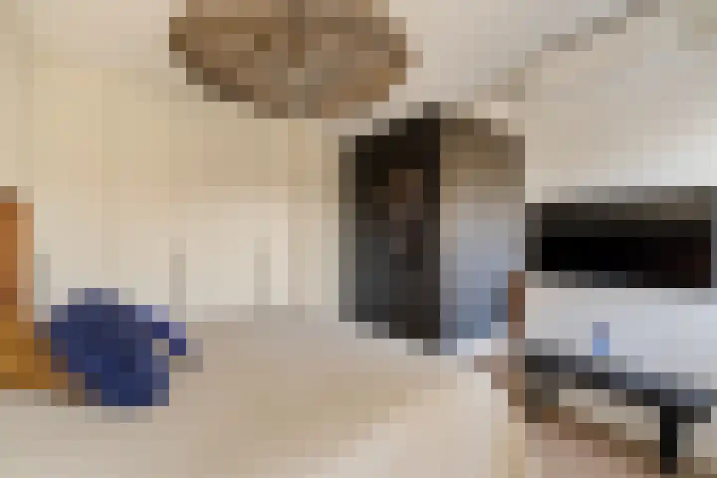 Schaepmanhoeve 17 Waddinxveen thumbnail 23