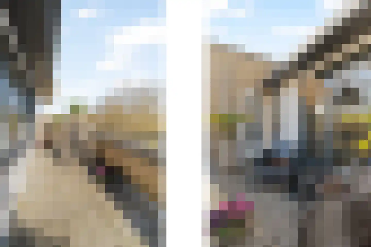 Schaepmanhoeve 17 Waddinxveen thumbnail 25
