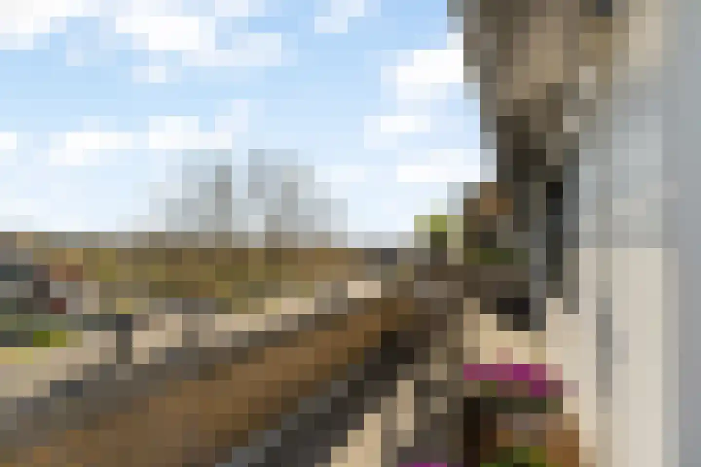 Schaepmanhoeve 17 Waddinxveen thumbnail 26