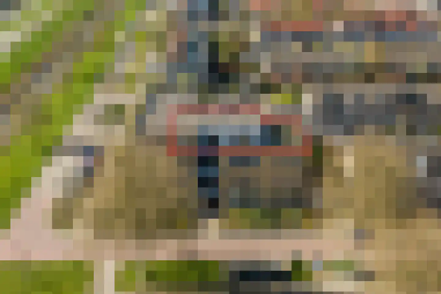 Schaepmanhoeve 17 Waddinxveen thumbnail 4