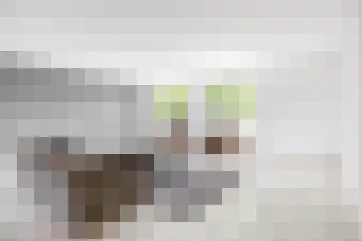 Schaepmanhoeve 5 Waddinxveen thumbnail 10