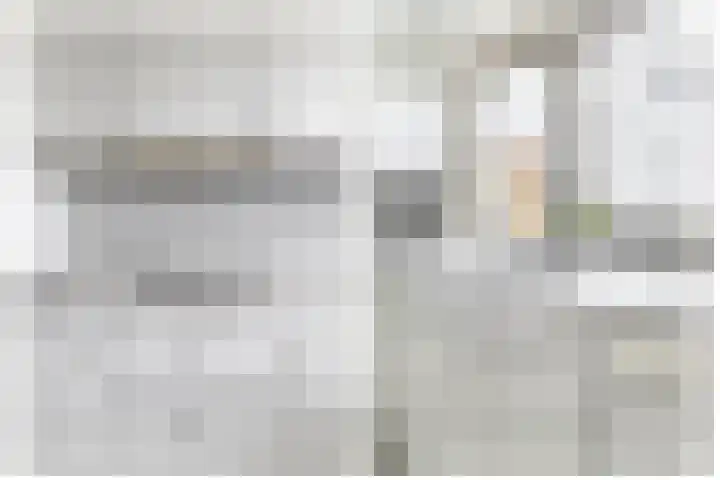 Schaepmanhoeve 5 Waddinxveen thumbnail 12