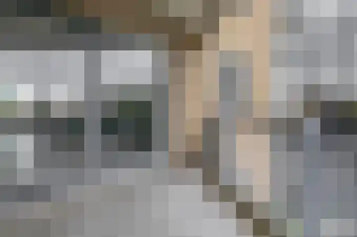 Schaepmanhoeve 5 Waddinxveen thumbnail 13