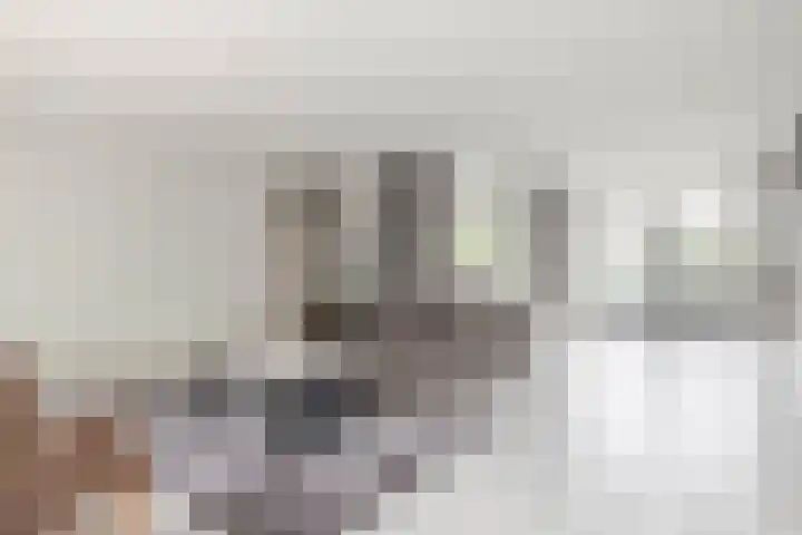 Schaepmanhoeve 5 Waddinxveen thumbnail 9