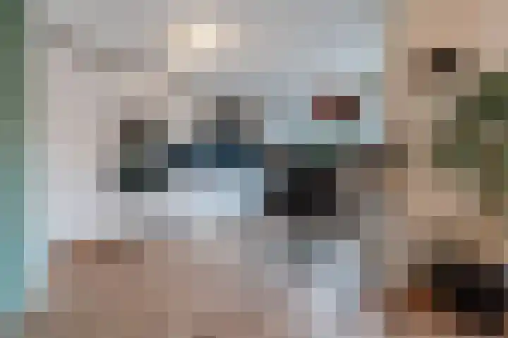 Schaepmanhoeve 71 Waddinxveen thumbnail 11