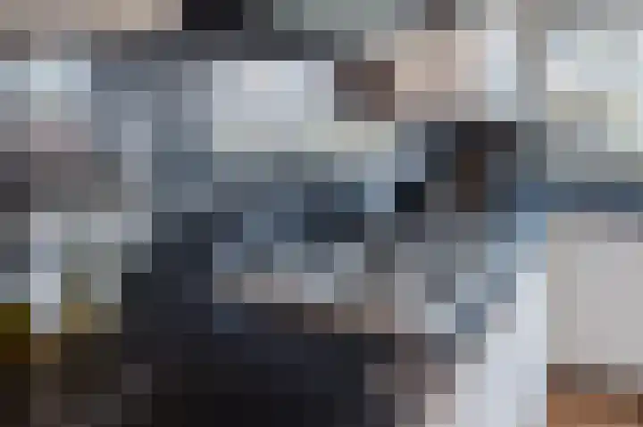 Schaepmanhoeve 71 Waddinxveen thumbnail 13