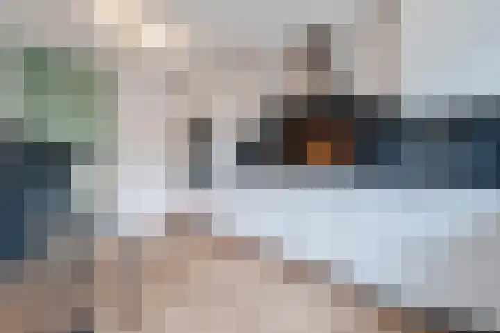 Schaepmanhoeve 71 Waddinxveen thumbnail 15