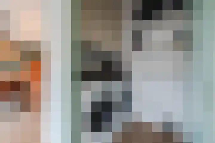 Schaepmanhoeve 71 Waddinxveen thumbnail 17
