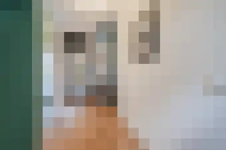 Schaepmanhoeve 71 Waddinxveen thumbnail 18