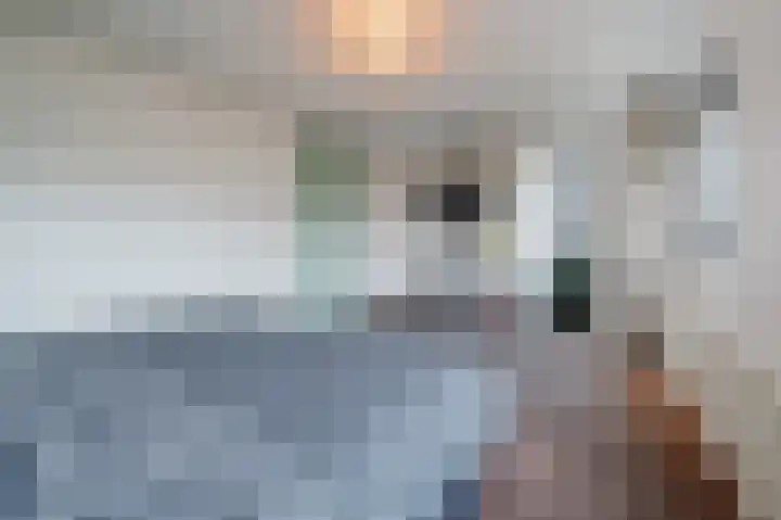 Schaepmanhoeve 71 Waddinxveen thumbnail 22