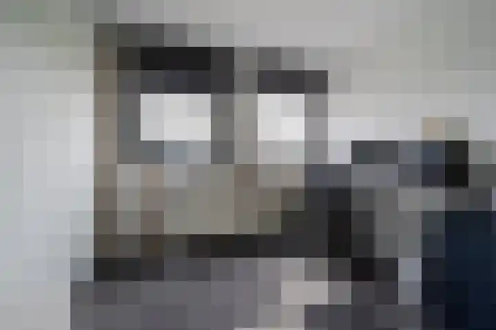 Schaepmanhoeve 71 Waddinxveen thumbnail 25