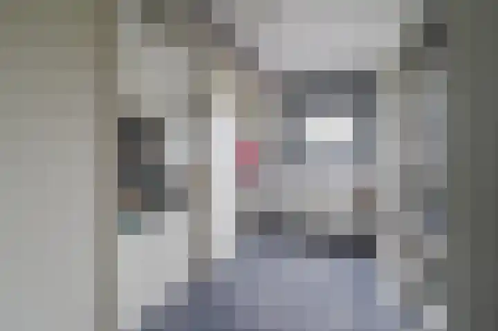 Schaepmanhoeve 71 Waddinxveen thumbnail 27