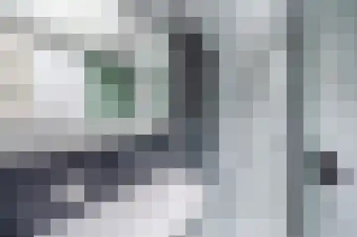 Schaepmanhoeve 71 Waddinxveen thumbnail 30