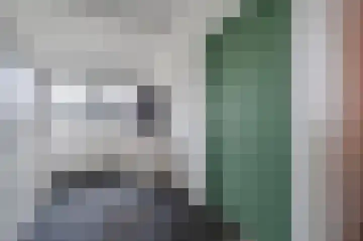 Schaepmanhoeve 71 Waddinxveen thumbnail 31