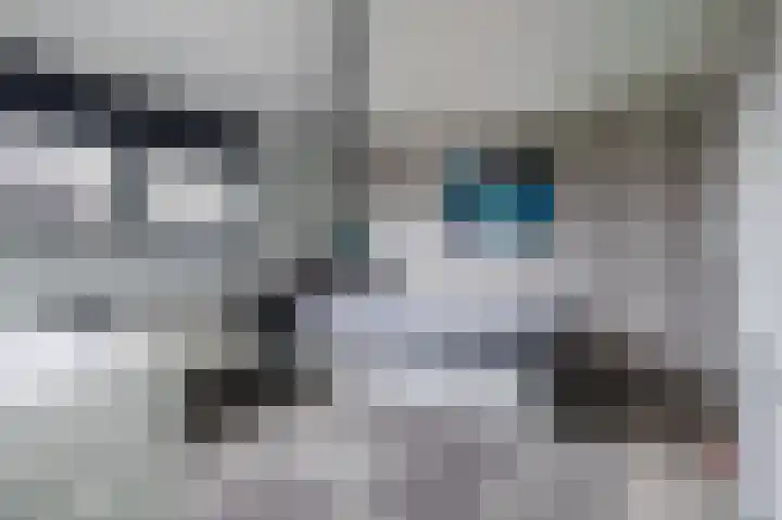 Schaepmanhoeve 71 Waddinxveen thumbnail 32