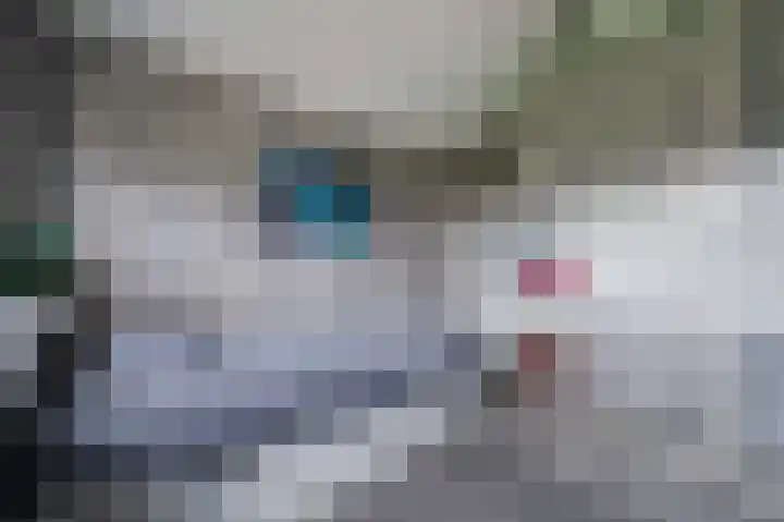 Schaepmanhoeve 71 Waddinxveen thumbnail 33