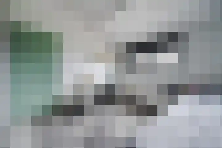 Schaepmanhoeve 71 Waddinxveen thumbnail 34