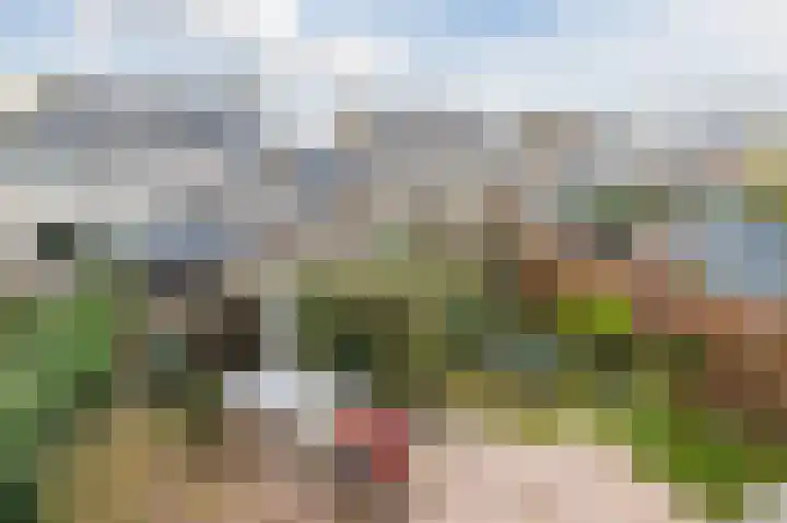 Schaepmanhoeve 71 Waddinxveen thumbnail 35