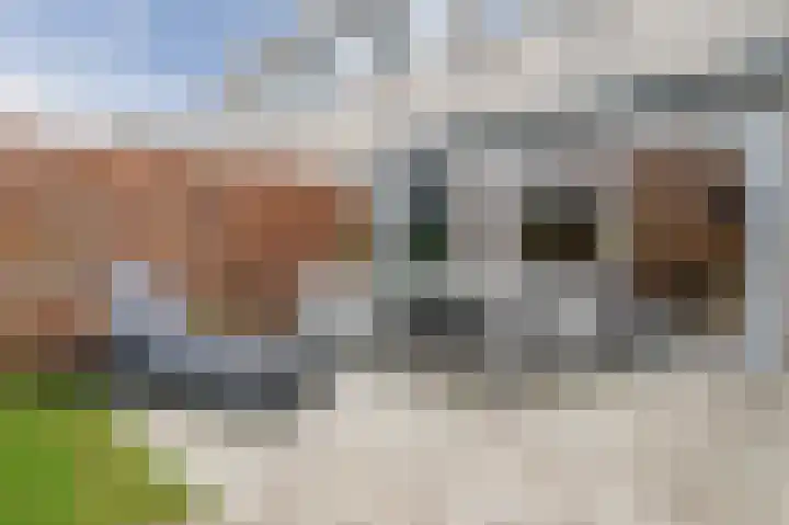 Schaepmanhoeve 71 Waddinxveen thumbnail 36