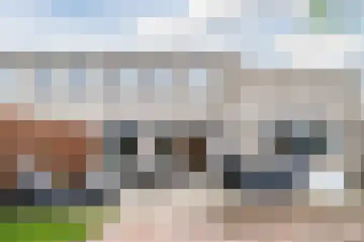 Schaepmanhoeve 71 Waddinxveen thumbnail 37