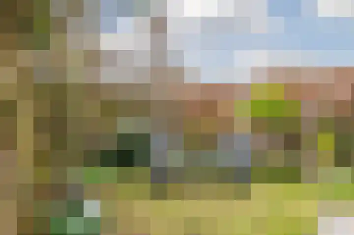 Schaepmanhoeve 71 Waddinxveen thumbnail 39